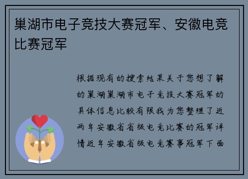 巢湖市电子竞技大赛冠军、安徽电竞比赛冠军
